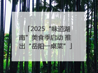 2025“味道湖南”美食季启动 推出“岳阳一桌菜”