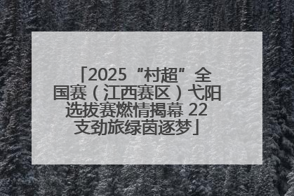 2025“村超”全国赛（江西赛区）弋阳选拔赛燃情揭幕 22支劲旅绿茵逐梦