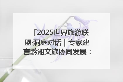 2025世界旅游联盟·洞庭对话｜专家建言黔湘文旅协同发展：聚焦产品稀缺性 深化区域经验共享
