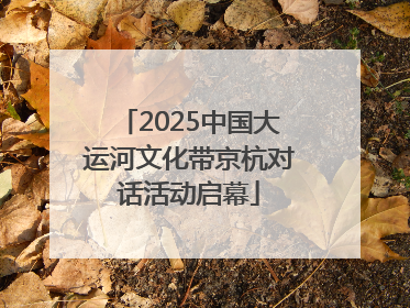2025中国大运河文化带京杭对话活动启幕