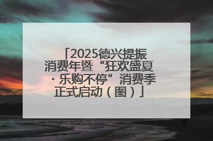 2025德兴提振消费年暨“狂欢盛夏・乐购不停”消费季正式启动（图）