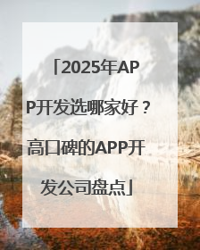 2025年APP开发选哪家好？高口碑的APP开发公司盘点