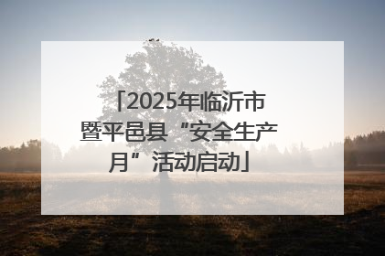 2025年临沂市暨平邑县“安全生产月”活动启动