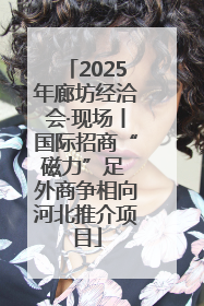 2025年廊坊经洽会·现场丨国际招商“磁力”足 外商争相向河北推介项目