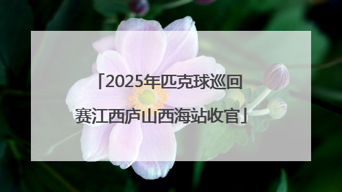 2025年匹克球巡回赛江西庐山西海站收官