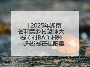 2025年湖南省和美乡村篮球大赛（村BA）郴州市选拔赛在桂阳县火热开赛