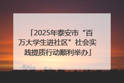 2025年泰安市“百万大学生进社区”社会实践提质行动顺利举办