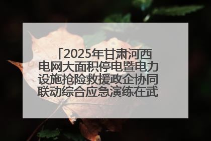 2025年甘肃河西电网大面积停电暨电力设施抢险救援政企协同联动综合应急演练在武威成功举行