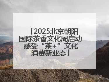 2025北京朝阳国际茶香文化周启动 感受“茶+”文化消费新业态