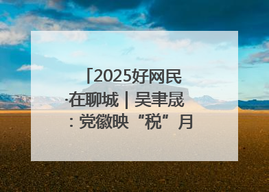 2025好网民·在聊城｜吴聿晟：党徽映“税”月 网播传政声