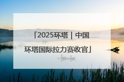 2025环塔｜中国环塔国际拉力赛收官