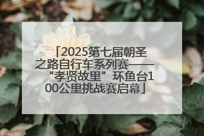 2025第七届朝圣之路自行车系列赛——“孝贤故里”环鱼台100公里挑战赛启幕