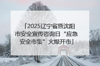 2025辽宁省暨沈阳市安全宣传咨询日“应急安全市集”火爆开市