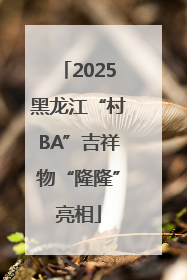 2025黑龙江“村BA”吉祥物“隆隆”亮相