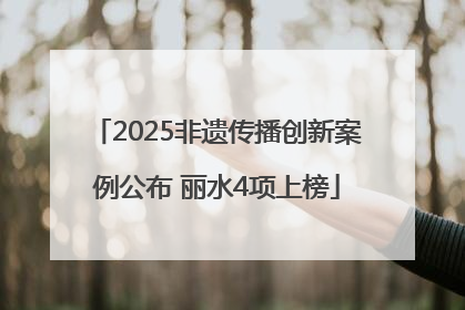 2025非遗传播创新案例公布 丽水4项上榜