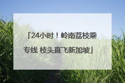 24小时！岭南荔枝乘专线 枝头直飞新加坡