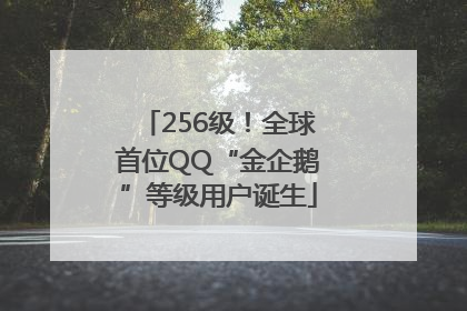 256级！全球首位QQ“金企鹅”等级用户诞生