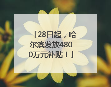 28日起，哈尔滨发放4800万元补贴！