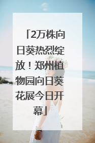 2万株向日葵热烈绽放！郑州植物园向日葵花展今日开幕