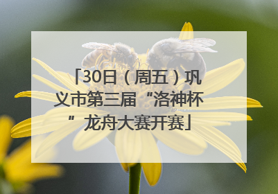30日（周五）巩义市第三届“洛神杯”龙舟大赛开赛