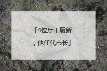 4位厅干履新，他任代市长