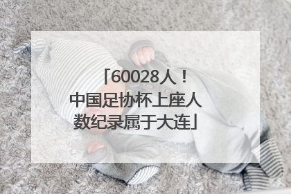 60028人！中国足协杯上座人数纪录属于大连