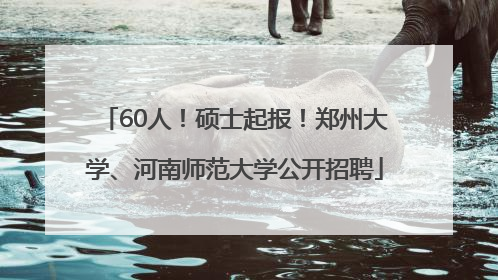 60人！硕士起报！郑州大学、河南师范大学公开招聘
