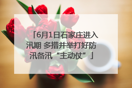 6月1日石家庄进入汛期 多措并举打好防汛备汛“主动仗”