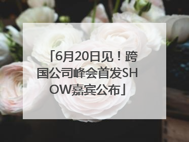 6月20日见!跨国公司峰会首发SHOW嘉宾公布