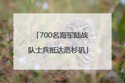 700名海军陆战队士兵抵达洛杉矶