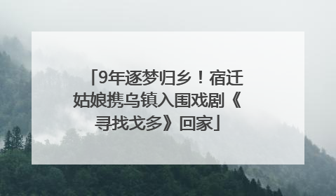 9年逐梦归乡！宿迁姑娘携乌镇入围戏剧《寻找戈多》回家