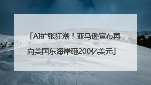 AI扩张狂潮！亚马逊宣布再向美国东海岸砸200亿美元