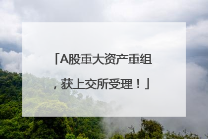A股重大资产重组，获上交所受理！