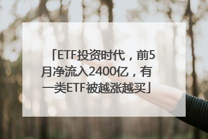 ETF投资时代，前5月净流入2400亿，有一类ETF被越涨越买