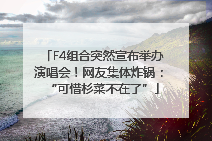 F4组合突然宣布举办演唱会！网友集体炸锅：“可惜杉菜不在了”