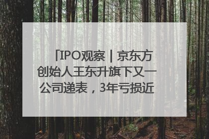 IPO观察｜京东方创始人王东升旗下又一公司递表，3年亏损近50亿元，近8成收入来自同一客户