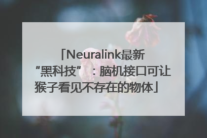 Neuralink最新“黑科技”：脑机接口可让猴子看见不存在的物体