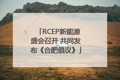 RCEP新能源盛会召开 共同发布《合肥倡议》